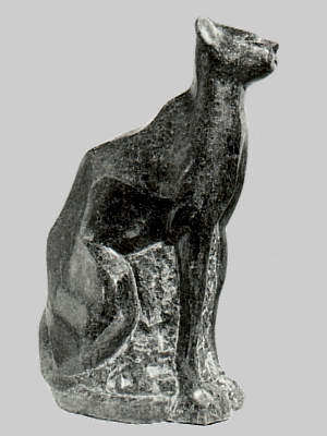 Cheetah